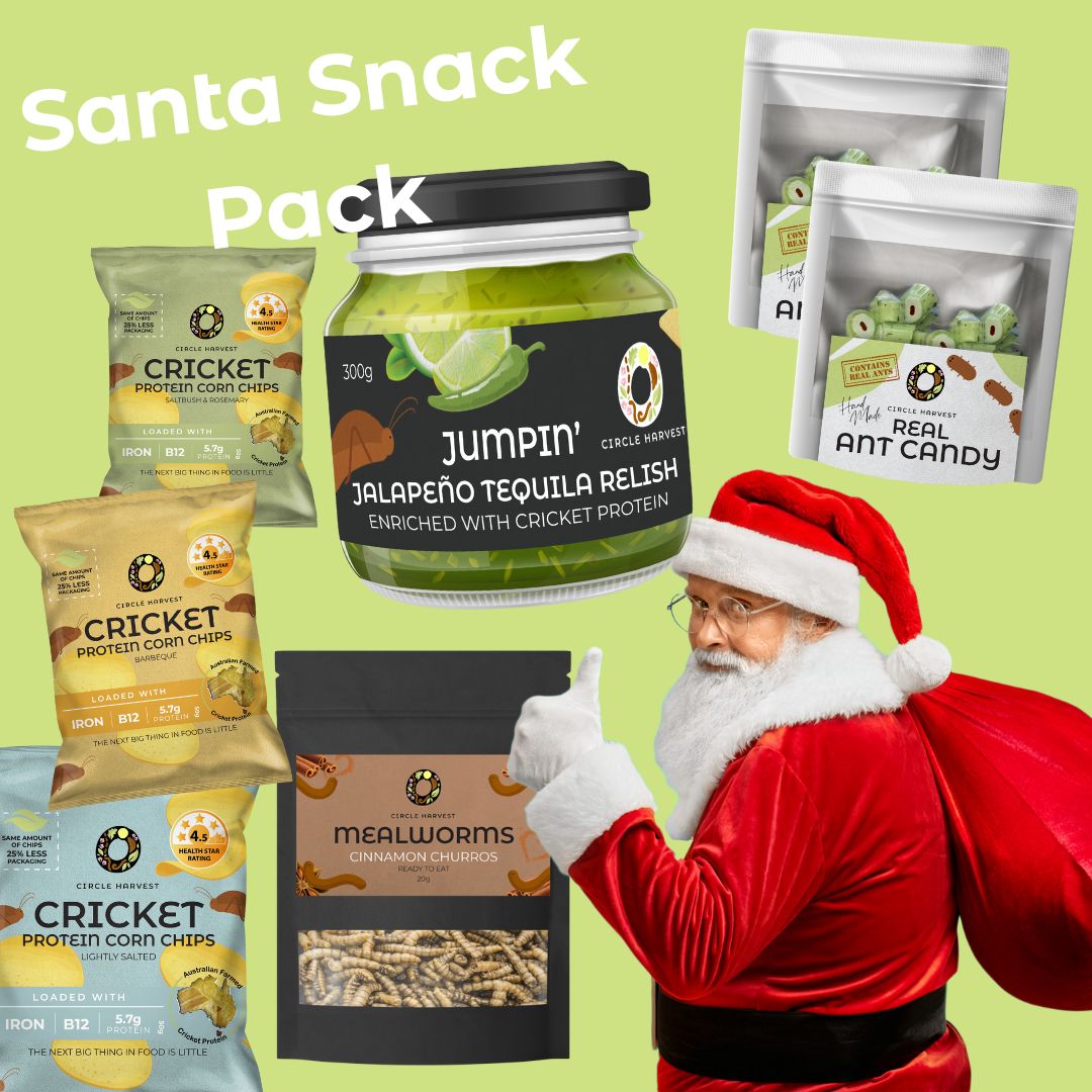 Santa Snack Pack