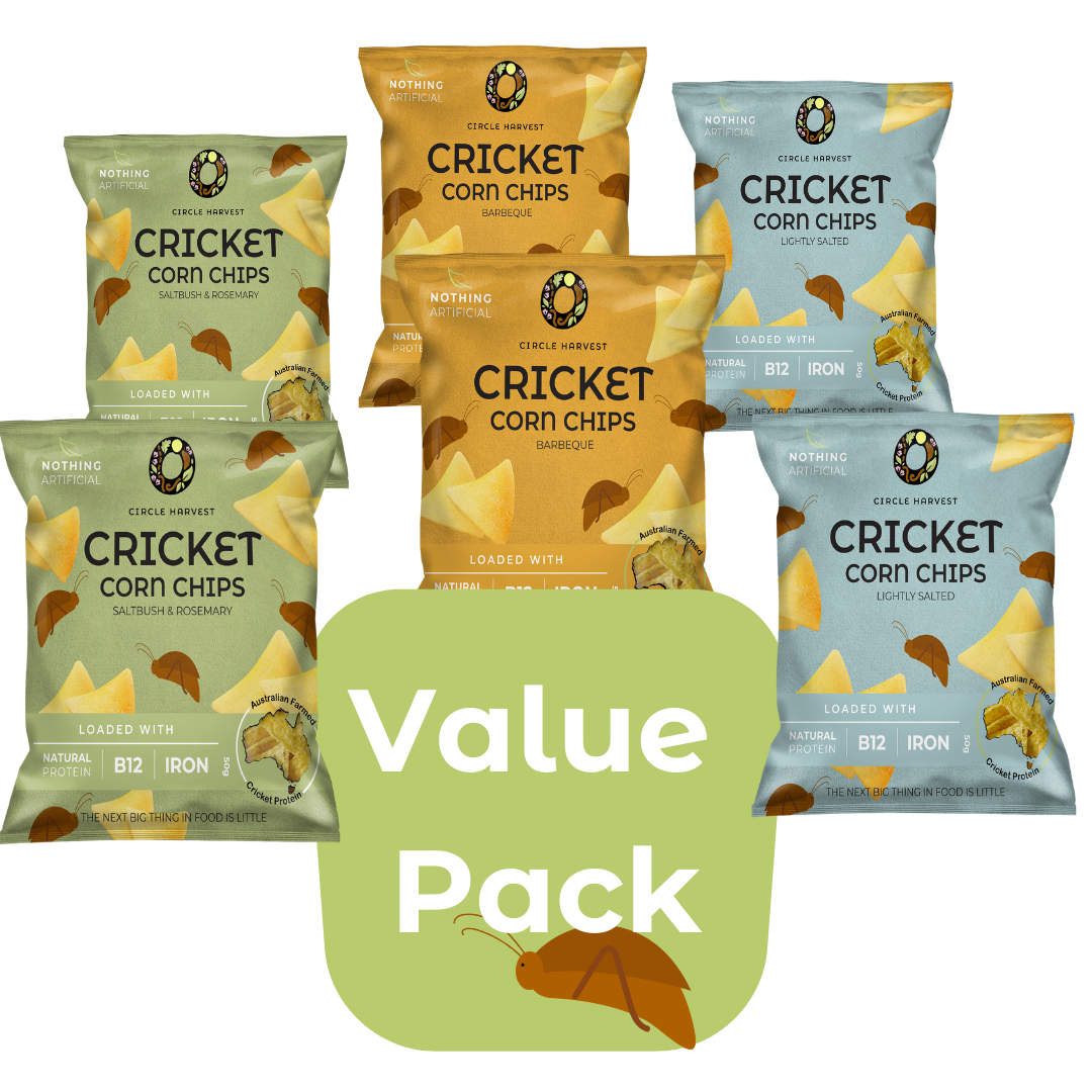 Cricket Corn Chips 50g