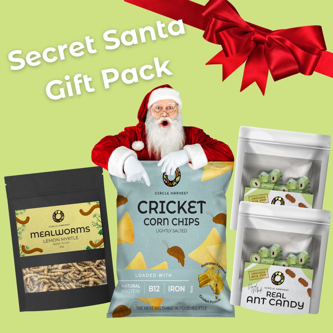 Secret Santa Edible Insect Gift Pack