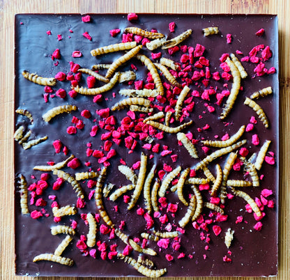 Cricket and Mealworm Chocolates